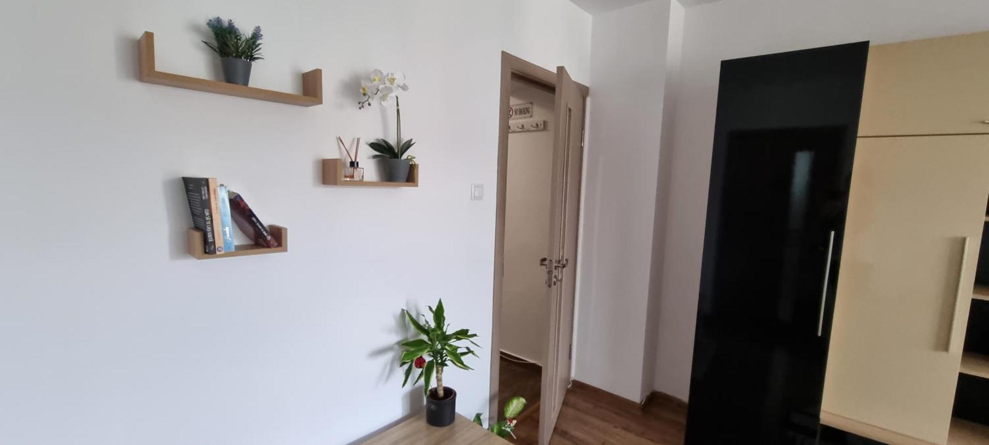 Dacia Apartment Тимишоара Экстерьер фото